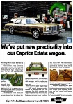 Chevrolet 1973 201.jpg